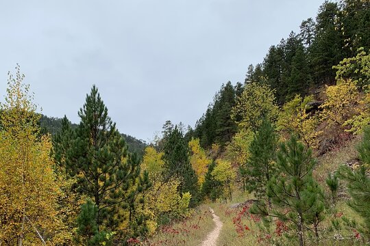 Tour image 9