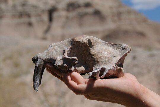 Tour image 11